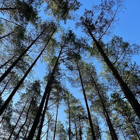 公寓式酒店 Bajo 波波林