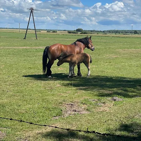 公寓式酒店 Bajo