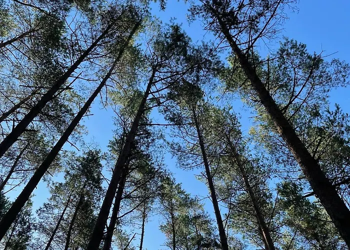 公寓式酒店 Bajo 波波林