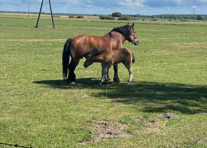 公寓式酒店 Bajo